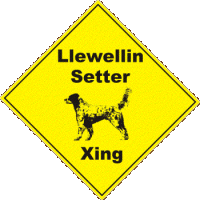 Llewellin Setter Xing Sign