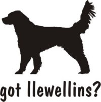got llewellins?